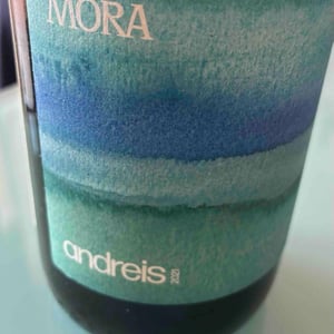 Andreis - Vinas Mora - Niko Dukan & Kreso Petrekovic 