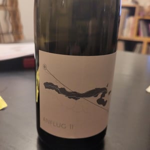 Anflug - Weingut Martin & Anna Arndorfer - martin-anna-arndorfer