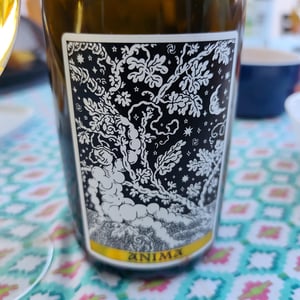 Anima - Domaine Frédéric Mabileau - Rémy Mabileau -2023