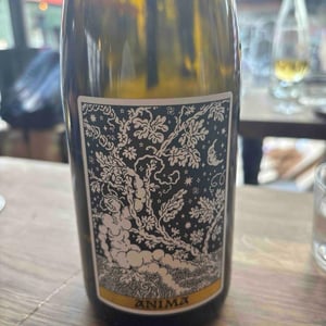 Anima - Domaine Frédéric Mabileau - Rémy Mabileau -2023