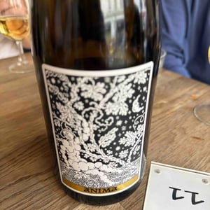 Anima - Domaine Frédéric Mabileau - remy-mabileau -2023