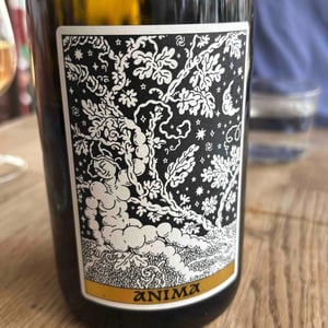 Anima - Domaine Frédéric Mabileau - Rémy Mabileau -2023