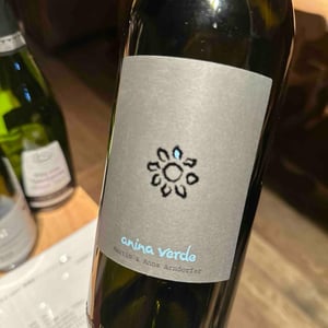 Anina Verde - Weingut Martin & Anna Arndorfer - Martin & Anna Arndorfer