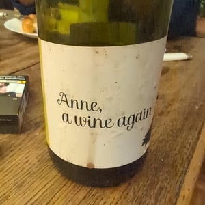 Anne, a wine again - Autour de l'Anne - anne-leclerc-paillet