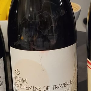 Antecime - Les Chemins de Traverse - louis-damien-et-claudia-bouchacourt-25 -2020