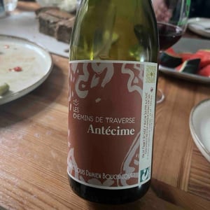 Antecime - Les Chemins de Traverse - louis-damien-et-claudia-bouchacourt-25 -2020