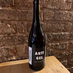 Anti Gel La Pinot - NoVice - Yves Roy -2024