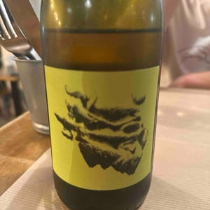 Antidote - Domaine Cinq Peyres / V Peyres - Charles & Pierre Bonnafont 