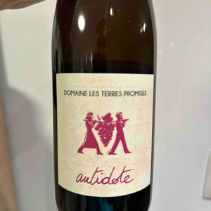 Antidote - Les Terres Promises - Jean-Christophe Comor 