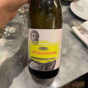 Antigonisme - Domaine Ligas - Ktima Ligas - Meli Ligas & Thomas Ligas 
