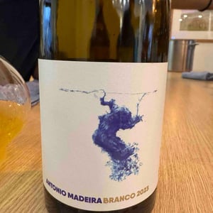 António Madeira Branco 2021 - António Madeira - antonio-madeira -2021