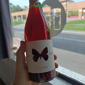 Apollo Rosato - Ausonia - simone-binelli