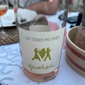 Apostrophe - Les Terres Promises - Jean-Christophe Comor 