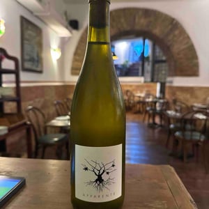 Apparente Blanc - Chateau Puech redon - cyril-cuche