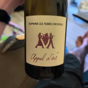Appel d'air - Les Terres Promises - Jean-Christophe Comor
