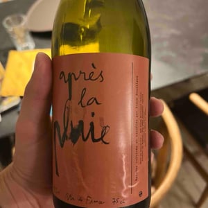 Après la pluie - Simon Rouillard - Simon Rouillard 