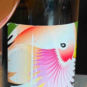 Anfora Arancione - Grape Republic Inc. - Haruyuki Yano 