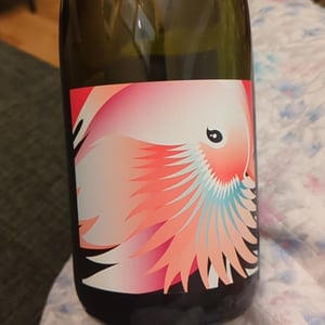 Anfora Arancione - Grape Republic Inc. - haruyuki-yano