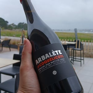 Arbalète et Coquelicot - Jean-Baptiste Senat - charlotte-jean-baptiste-senat