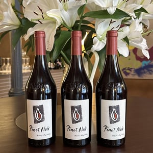 Arbois Pinot noir - Domaine Ratte - Michel-Henri Ratte -2022