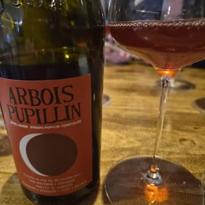 Arbois-Pupillin "Ploussard - En Aspis" - Domaine Renaud Bruyère & Adeline Houillon - Renaud Bruyère & Adeline Houillon 