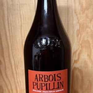 Arbois-Pupillin "Ploussard - En Aspis" - Domaine Renaud Bruyère & Adeline Houillon - Renaud Bruyère & Adeline Houillon 