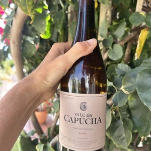 Arinto - Vale da Capucha - Pedro Marques 