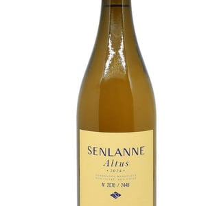 Arsis - Senlanne - Nicolas SENLANNE 