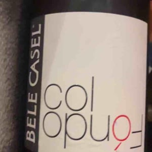 Asolo Prosecco - Bele Casel - luca-ferraro