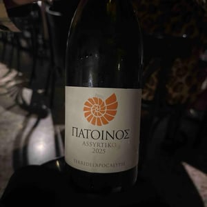 Assyrtiko Orange - Patoinos, Terre de l'Apocalypse - Josef Zisyadis -2022