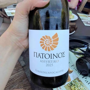 Assyrtiko Orange - Patoinos, Terre de l'Apocalypse - Josef Zisyadis -2022