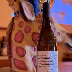 Atinado Encruzado - Quinta da Boavista - Terras de Tavares - João Tavares de Pina -2023