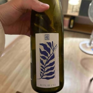 Au fil de l'ill - Vignoble du Rêveur - mathieu-deiss-emmanuelle-milan -2023