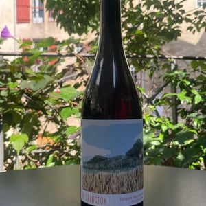 Au Grangeon - Jacques Bouchevreau Paysan Vigneron - Jacques Bouchevreau 