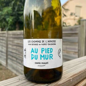 Au pied du mur - Les Chemins de l'Arkose - Yvan Bernard & Audrey Baldassin 
