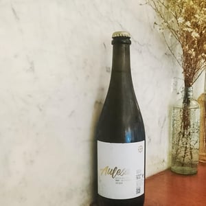 Aulesa - Batt Liu De Sort - Josep Maria Rabasa, Guillem Puras, Ramon & Aleix Aytés -2021