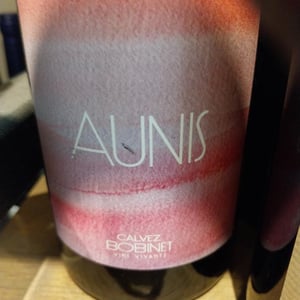 Aunis - Domaine Calvez-Bobinet - Sébastien Bobinet & Émeline Calvez 