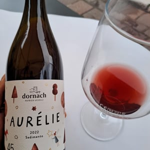 Aurélie 45 - Ansitz Dornach - Patrick & Karoline Uccelli 