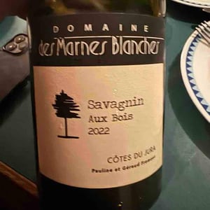Aux Bois Savagnin - Domaine Des Marnes Blanches - pauline-geraud-fromont