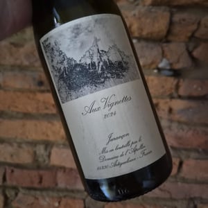 Aux Vignettes - Domaine de l’Apollin - Florent Foury -2024