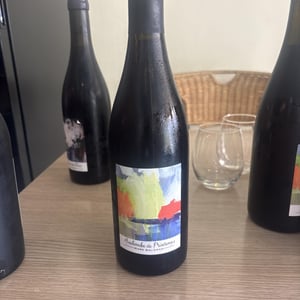 Avalanche de Printemps - Marc Delienne - marc-delienne