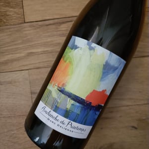 Avalanche de Printemps - Marc Delienne - Marc Delienne -18