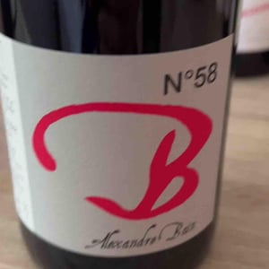 B N°21 - Domaine Alexandre Bain - alexandre-bain