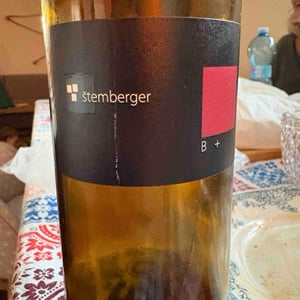 B+ - Vina Štemberger - Sebastianj Štemberger -2016
