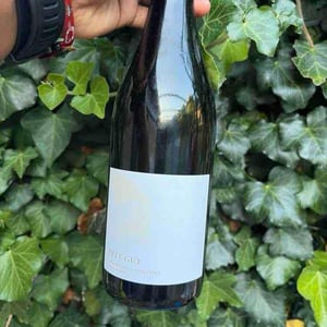 B-Side - Wine VS Wild - olivier-chereau
