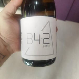 B4.2 - Giuseppe Lazzaro - Giuseppe Lazzaro -2024