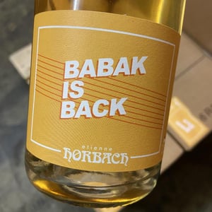 Babak is back - Étienne Horbach - Étienne Horbach 