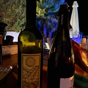 Babić - Marinov Winery - Josipa Marinov & Neno Marinov
