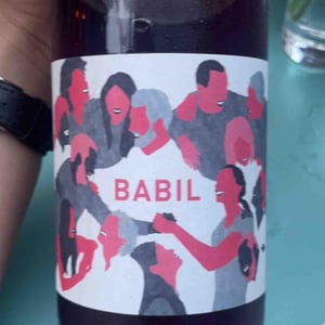Babil - Domaine Brazilier - benoit-brazilier -2021