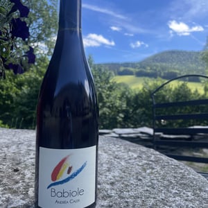 Babiole - Andrea Calek - Andrea Calek et Stephana Nicolescu 